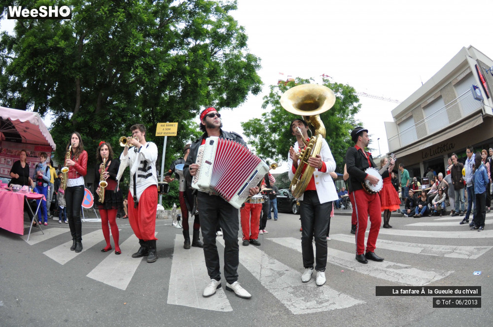 9/56 photos du spectacle La fanfare à la Gueule du ch'val